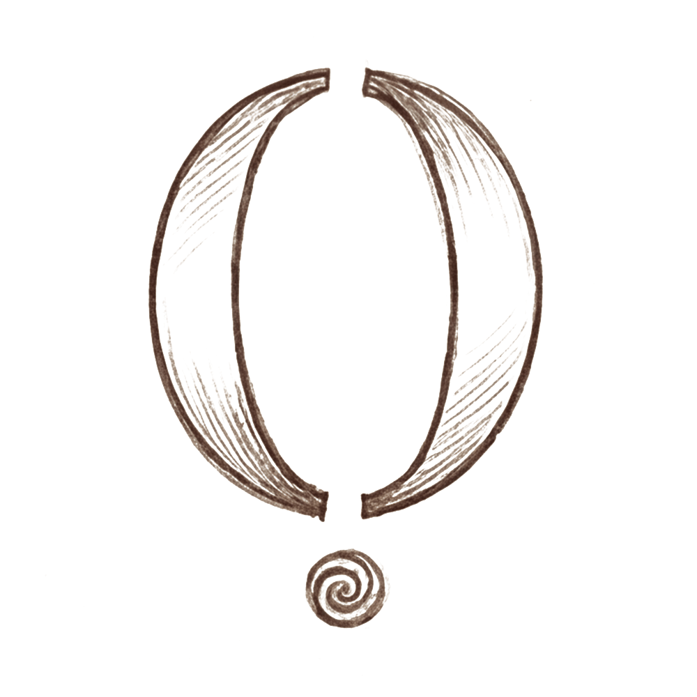 menozeit wissen icon