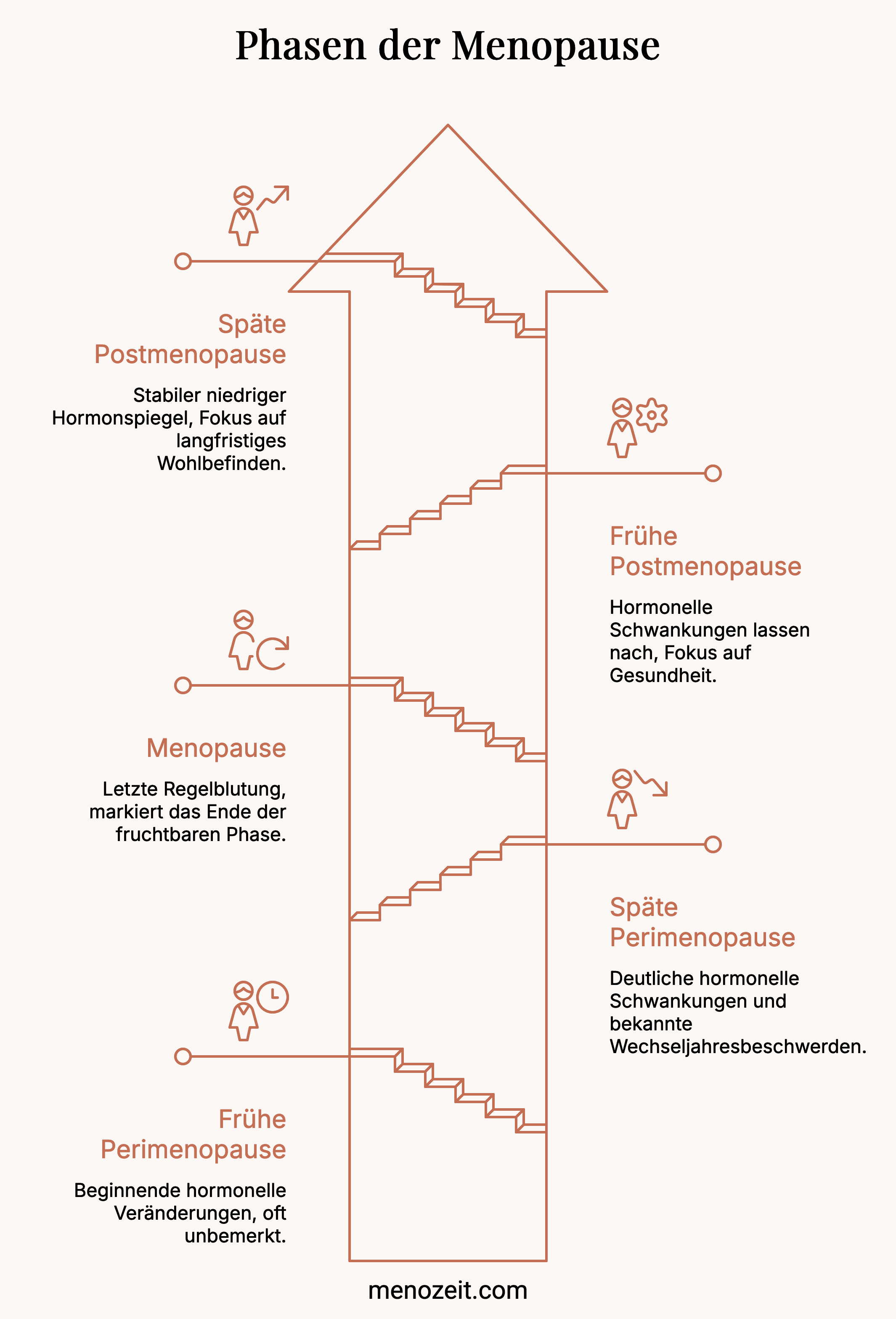 Übersicht der fünf Phasen der Menopause: frühe und späte Perimenopause, Menopause sowie frühe und späte Postmenopause